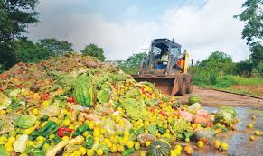 Desperdício de Alimentos 