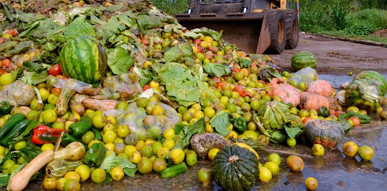 Desperdício de Alimentos